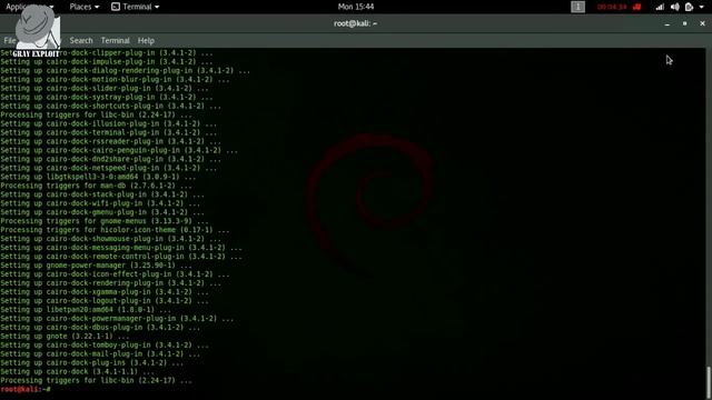 How to Install Cairo Dock in Kali Linux Best launcher on Linux смотреть онлайн