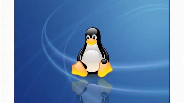 Wallpapers de Pinguinos de Linux смотреть онлайн