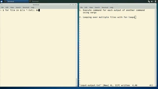 How to repeat commands on the linux terminal using xargs and for loops смотреть онлайн