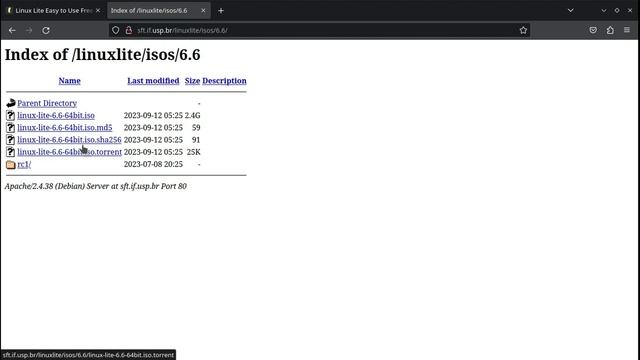 Como baixar Linux Lite 6.6 смотреть онлайн