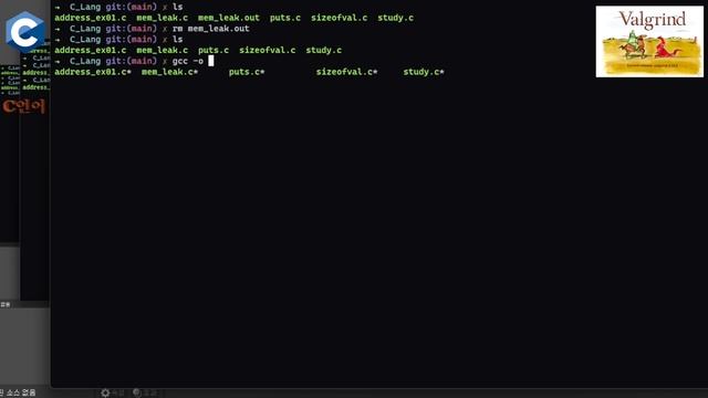 valgrind로leak_memory체크하기_C언어_C++메모리체크하기_디버그#debug #leakmemory #valgrind смотреть онлайн