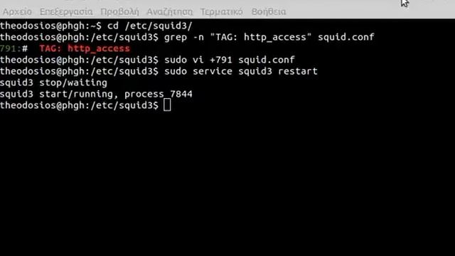After installing proxy Squid - Access Blocked Websites in Restricted Areas using Ubuntu смотреть онлайн