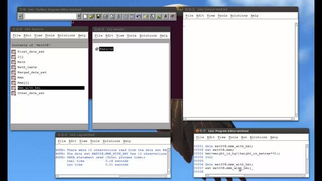 3.3 Creating new variables in SAS (linux) смотреть онлайн