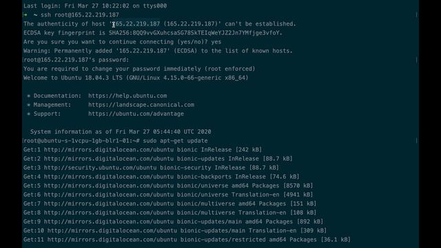 How to create a cloud server/droplet on Digital Ocean and connect a Domain смотреть онлайн