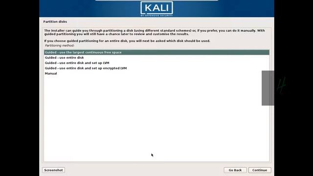 Kali Linux Partitioning in Detail Guided All in One Option- Ethical Hacking Tutorials смотреть онлайн