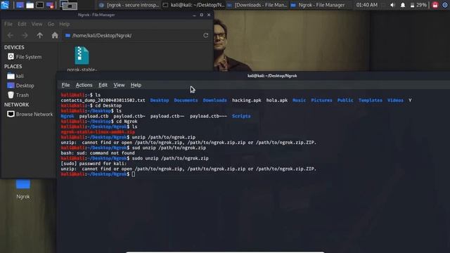 Instalar Ngrok en Kali Linux 2020, Install Ngrok on Kali Linux 2020 смотреть онлайн