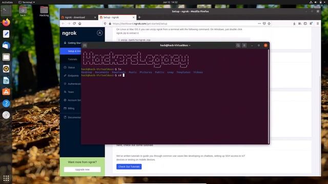 How to install Ngrok in linux смотреть онлайн