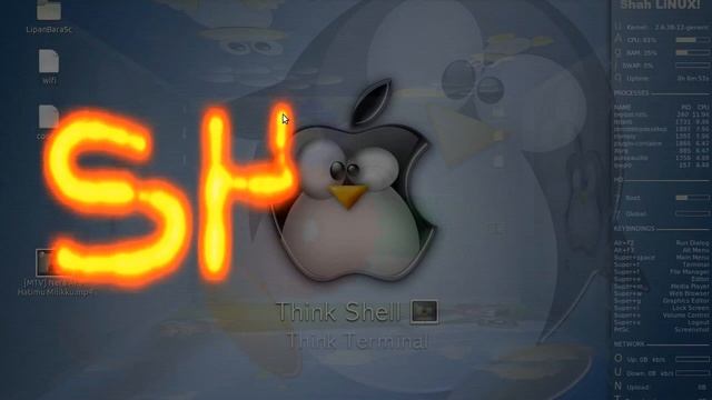 Compiz configure setting manager (CCSM) in Ubuntu 11.04 смотреть онлайн