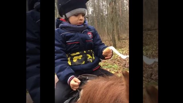 Программа «СказкоИппотерапия» смотреть онлайн