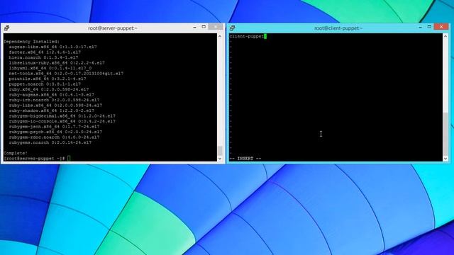 Linux Installation (Master/Agent) - install Puppet on a Linux system смотреть онлайн