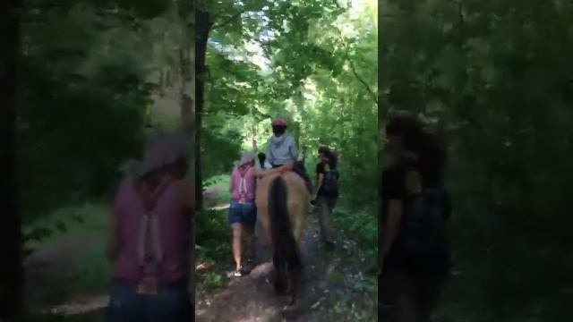 Курс «Интенсив №1» смотреть онлайн