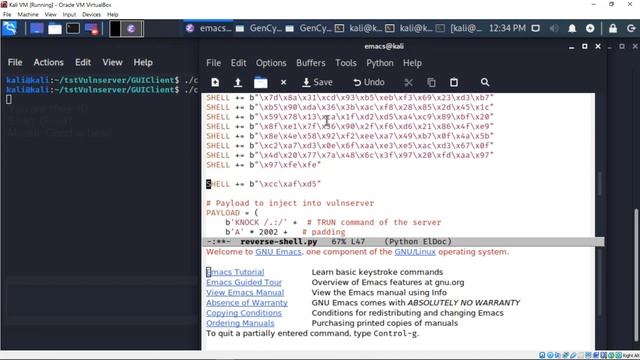 Reverse shell attack (buffer overflow attack) against vulnserver chat server смотреть онлайн