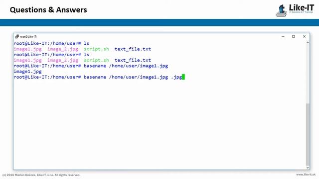 bash how to basename смотреть онлайн
