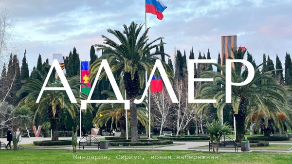 Море и природа в феврале! Сочи. Новая набережная Адлера.