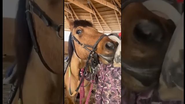 С Праздником Весны! смотреть онлайн