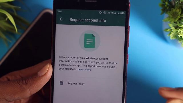 how to request all your account information from WhatsApp, request account info WhatsApp смотреть онлайн
