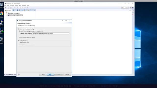Snapshot-Based Restore for SAP HANA with Azure NetApp Files смотреть онлайн