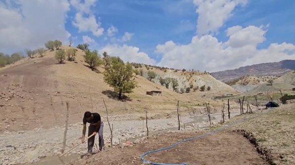 Beautiful tradition of love among tribes of Jamshid's love to Zaynab, nominees