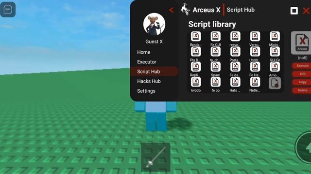 Arceus X Fe Netless and Fe Hats v2 смотреть онлайн
