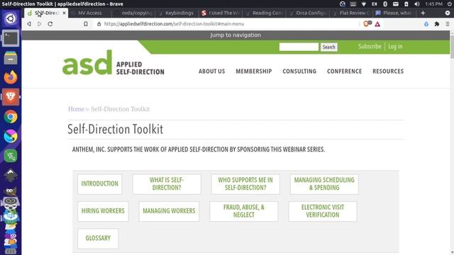 Orca screen reader for Linux смотреть онлайн