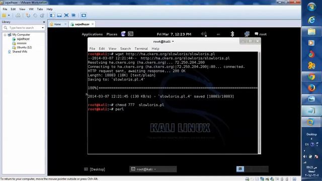 عمل دوز اتاك بالكالي لينوكس kali linux DOS/Attack смотреть онлайн