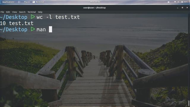 💬 HOW TO COUNT LINES IN A DOCUMENT / FILE ON LINUX 💯 смотреть онлайн