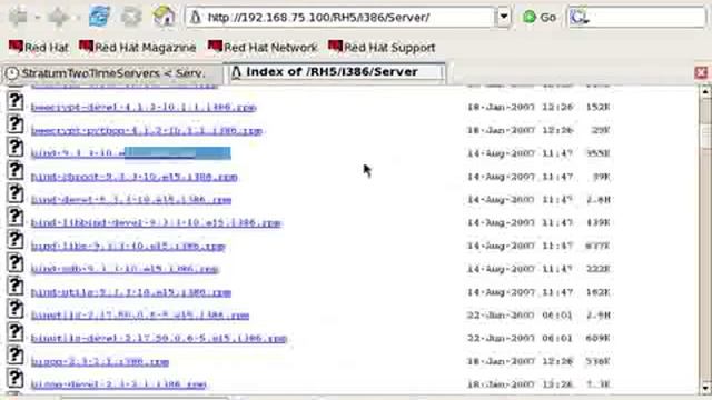 Redhat Enterprise linux 5 DNS (BIND Master)-Part2 смотреть онлайн