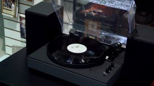 Music Public Kingdom TT55ATS