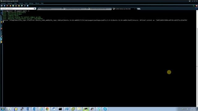 The agent packages needed to support ubuntu-14.04-amd64 are not present on your master. смотреть онлайн
