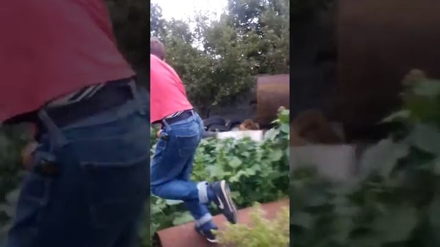 Як правильно паркурить смотреть онлайн