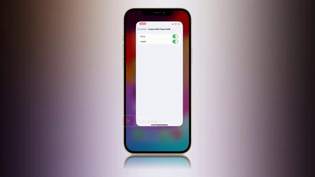 Cara Mengaktifkan Haptic Keyboard iPhone (iOS 16, iOS 17, dan lebih baru) смотреть онлайн