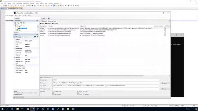 Setup mRemoteNG with SAP Gui Connections (auto logon) смотреть онлайн