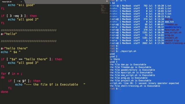 Top 5 Mistakes in Bash Scripting | Udemy Instructor, Francesco Santi смотреть онлайн