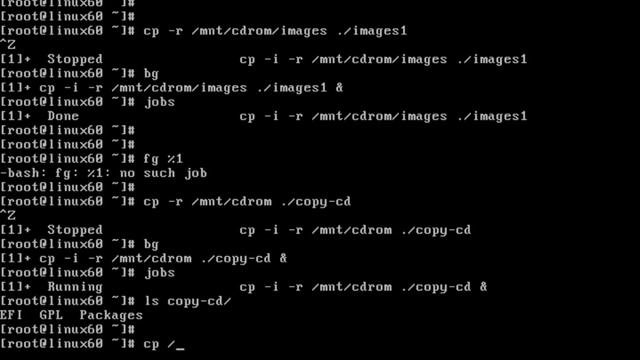 Linux Processes bg & fg смотреть онлайн