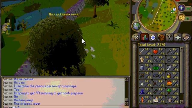 ZEZIMA ON TEAMVIEWER смотреть онлайн