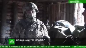 В зоне СВО | Репортаж | НТВ