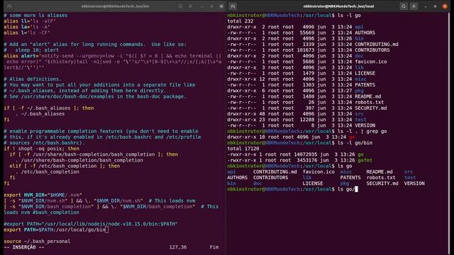 0020-01 Como Instalar a Versão Mais Atual do Go Golang no Ubuntu Linux com o Arquivo Tar Gz смотреть онлайн