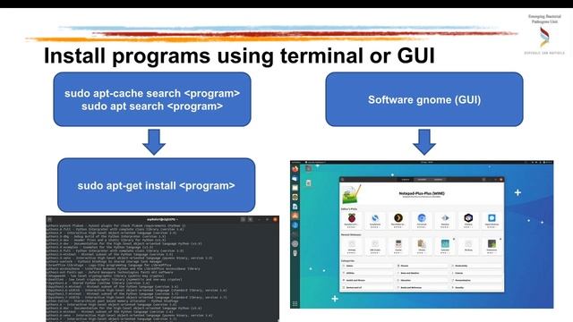 Day4 - Learning how to install and use programs to analyzed data смотреть онлайн