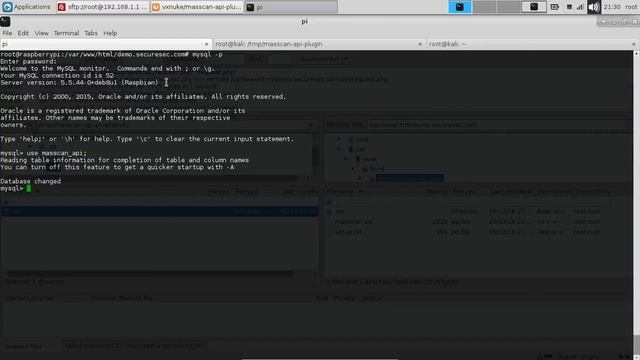 Masscan API Plugin - Distributed Scanner смотреть онлайн