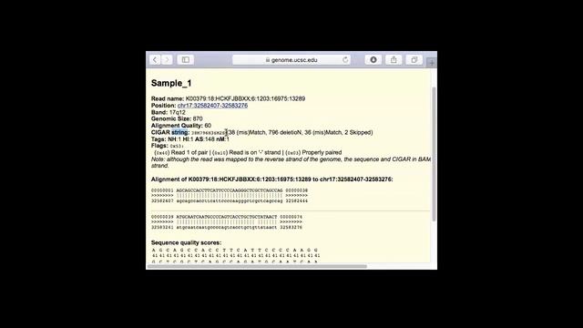 IU-G788, Next Generation Sequencing, 2017, Lecture 02, Part 3 смотреть онлайн