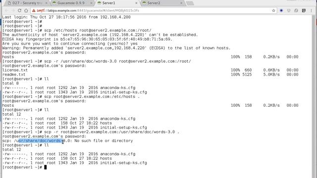 Securely transfer files between systems RHEL7 смотреть онлайн