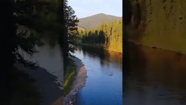 Тренды в загородных объектах! Полное видео на нашем канале #глэмпинг #hotel #отельныйбизнес смотреть онлайн