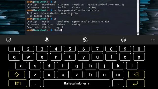 Install ngrok di kali nethunter смотреть онлайн