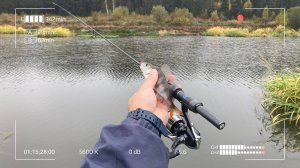 Mifine Nano Jig 183. Экспресс тест. Спиннинг за копейки