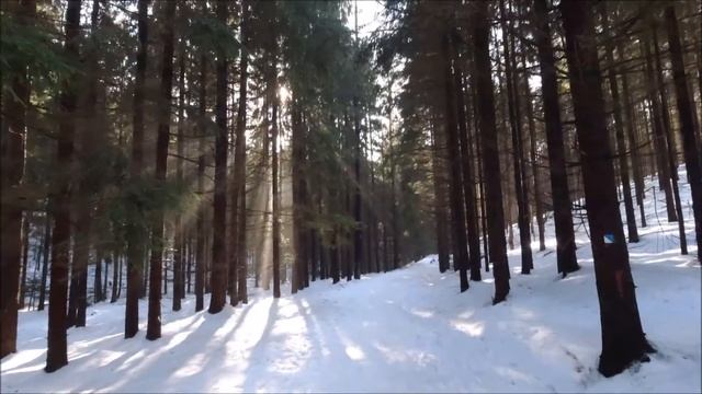 Бртницке Ледопады (Brtnické ledopády). Липковске Ломы (Lipkovské Lomy). Чехия. смотреть онлайн