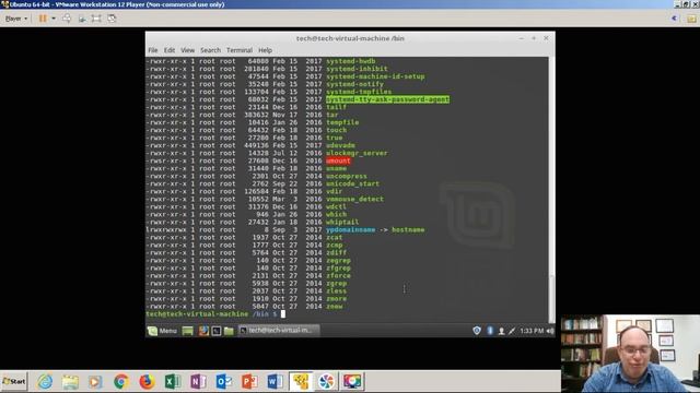 Permissions In CLI Demo смотреть онлайн