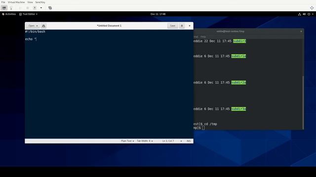 RHCSA v8 Practice Session: Processing output of shell commands within a script смотреть онлайн