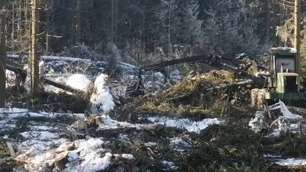 #amkodor #амкодор #2541 #лесоруб #лес #харвестер #stihl #бурелом #harvester #lesorub