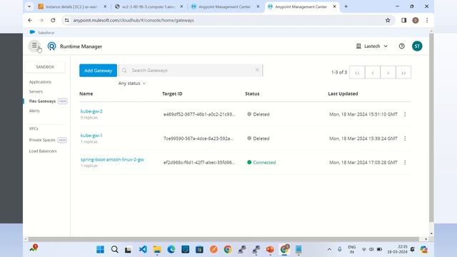 Anypoint Flex Gateway Part III - Deploy on Amazon Linux 2(Connected Mode) and secure Spring Boot AP смотреть онлайн